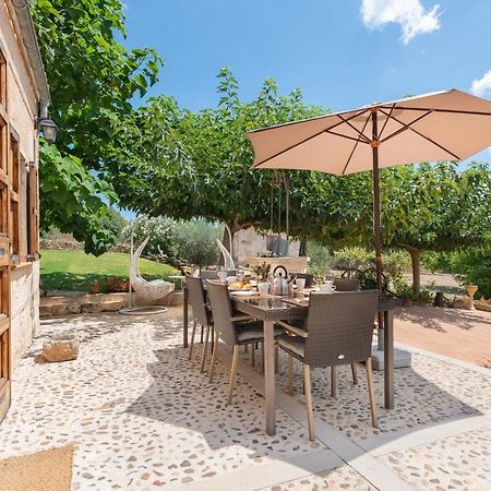 Alcudiola Villa Santa Margalida Kültér fotó