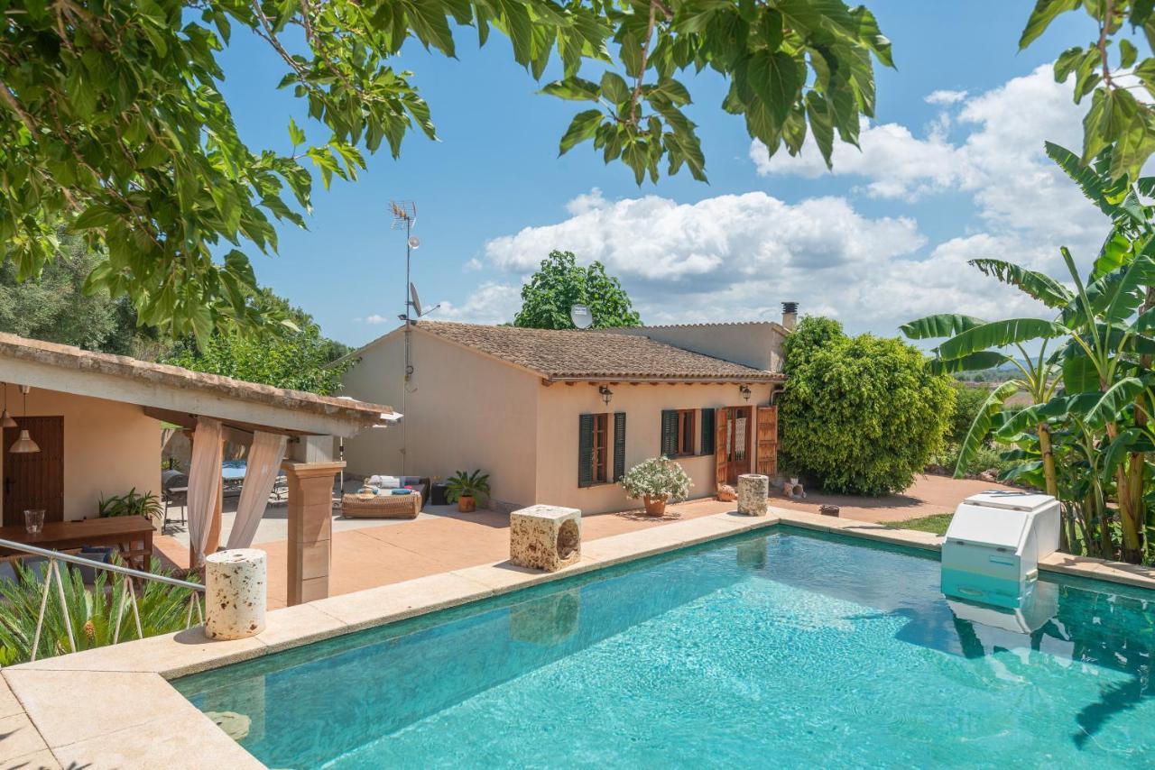 Alcudiola Villa Santa Margalida Kültér fotó