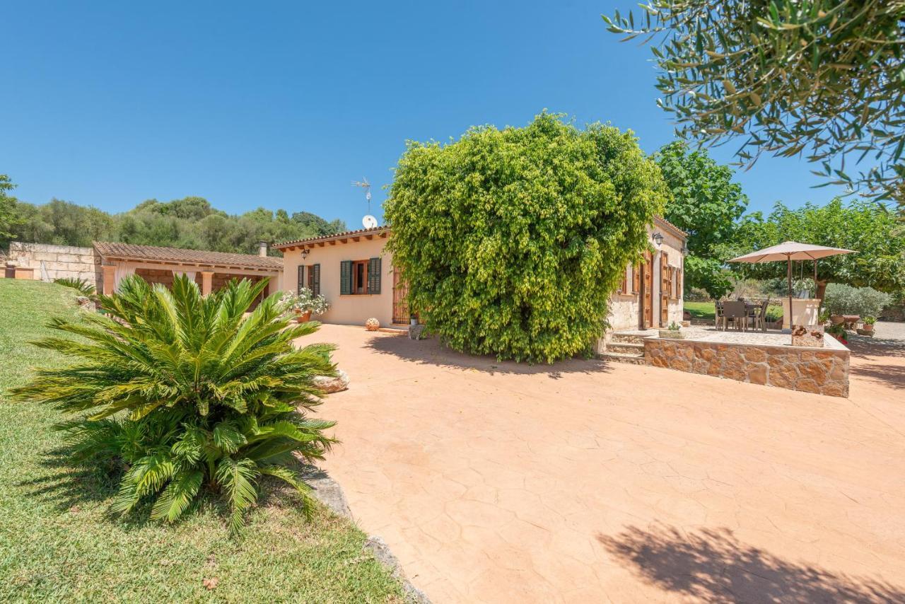 Alcudiola Villa Santa Margalida Kültér fotó